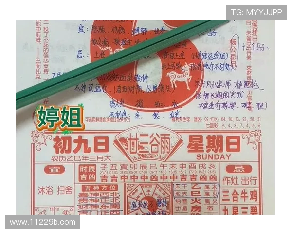 白小姐开奖纪录最新完整版历史数据全收录